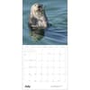image Sea Otters 2027 Wall Calendar Sixth Alternate Image