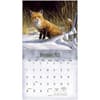 image Wildlife Special Edition 2025 Wall Calendar Second Alternate Image width=&quot;1000&quot; height=&quot;1000&quot;