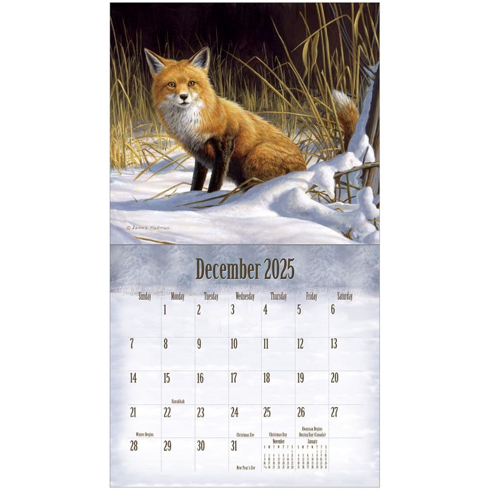Wildlife Special Edition 2025 Wall Calendar Second Alternate Image width=&quot;1000&quot; height=&quot;1000&quot;