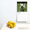 image Bull Terriers 2024 Wall Calendar Third Alternate Image width=&quot;1000&quot; height=&quot;1000&quot;