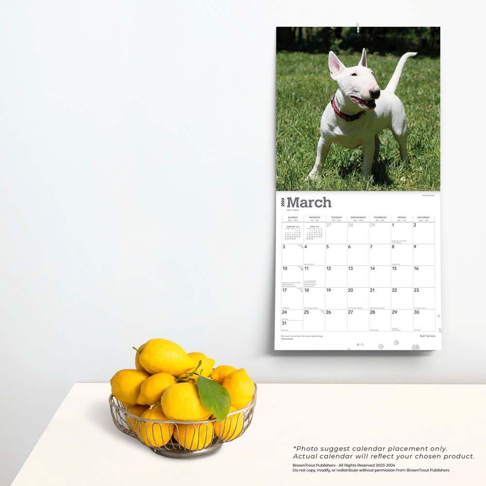 Bull Terriers 2024 Wall Calendar Third Alternate Image width=&quot;1000&quot; height=&quot;1000&quot;