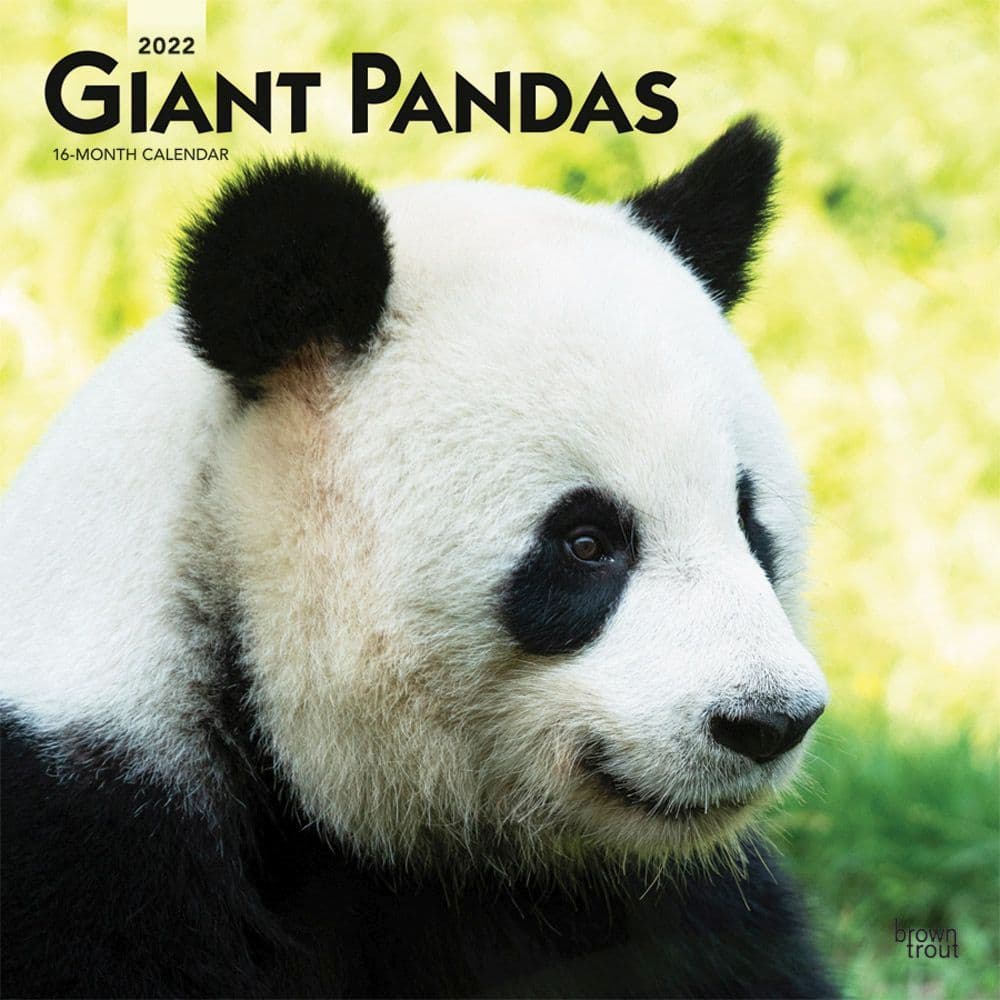Pandas 2022 Wall Calendar