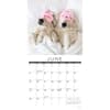 image Naptime Dogs 2025 Wall Calendar Second Alternate Image width=&quot;1000&quot; height=&quot;1000&quot;