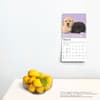 image Lab Retriever Puppies 2025 Mini Wall Calendar Fourth Alternate Image width=&quot;1000&quot; height=&quot;1000&quot;