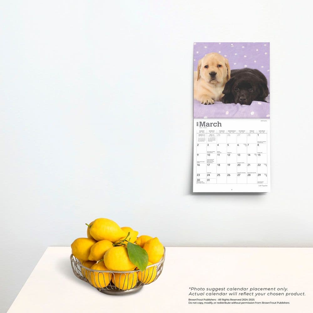 Lab Retriever Puppies 2025 Mini Wall Calendar Fourth Alternate Image width=&quot;1000&quot; height=&quot;1000&quot;