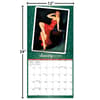 image Pin Up 2026 Wall Calendar