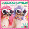 image Avanti Dogs Gone Wild 2025 Mini Wall Calendar