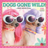 image Avanti Dogs Gone Wild 2025 Mini Wall Calendar