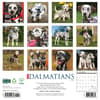 image Just Dalmatians 2025 Wall Calendar First Alternate Image width=&quot;1000&quot; height=&quot;1000&quot;