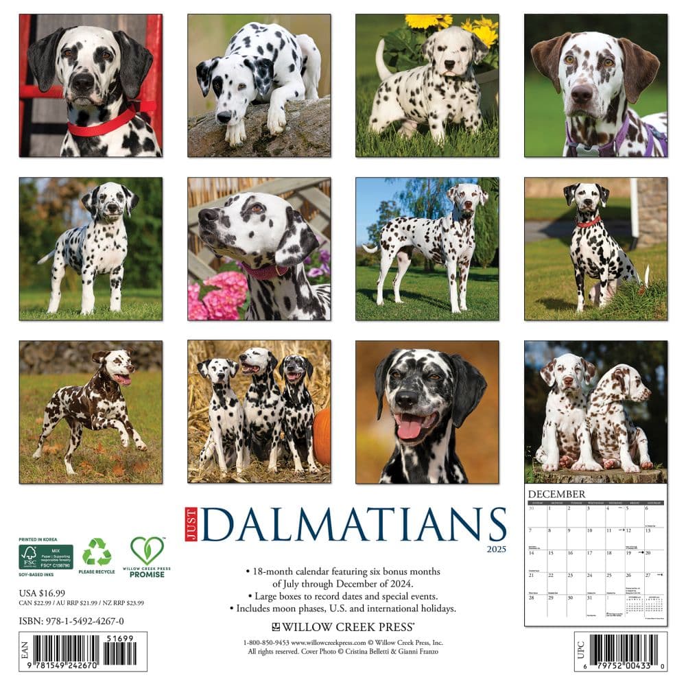 Just Dalmatians 2025 Wall Calendar