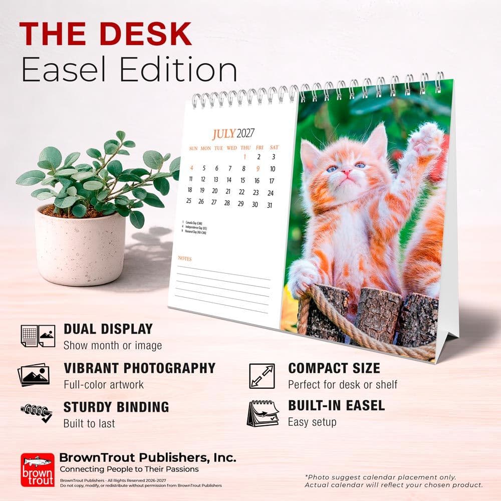 Kittens 2027 Double View Easel Desk Calendar Fifth Alternate Image