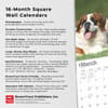 image Saint Bernards 2025 Wall Calendar