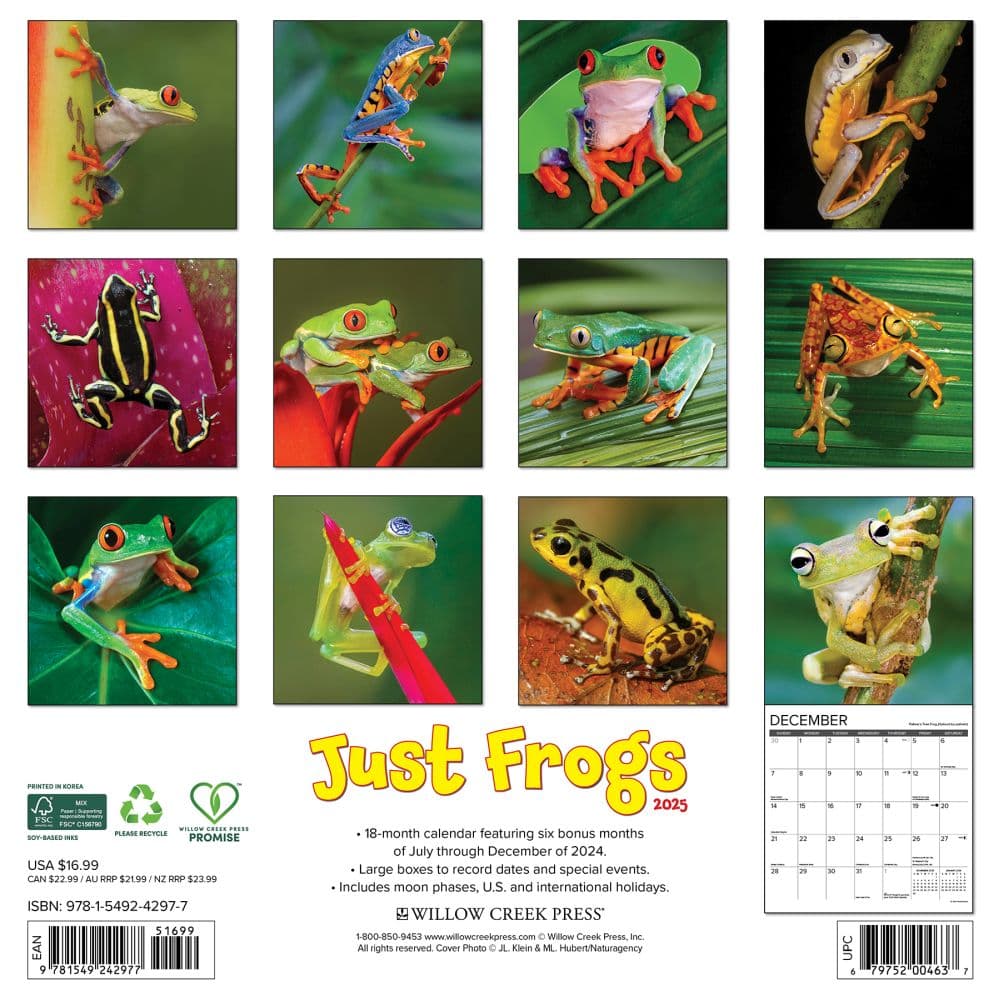 Frogs 2025 Wall Calendar
