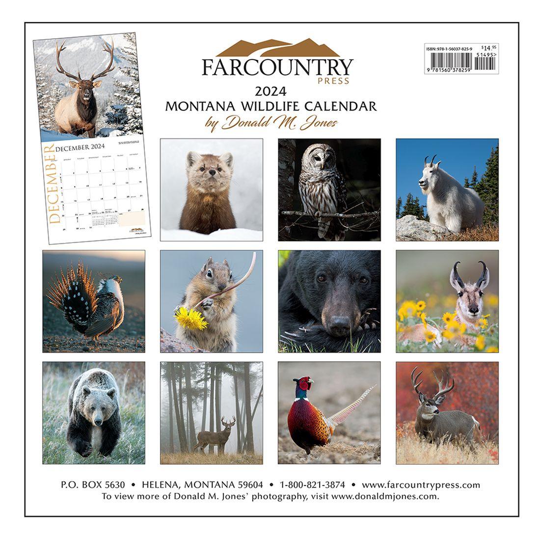 Montana Wildlife 2024 Wall Calendar