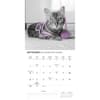 image Classic Cats 2025 Wall Calendar Fourth Alternate Image width=&quot;1000&quot; height=&quot;1000&quot;