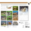 image Wolves WWF 2025 Wall Calendar First Alternate Image width=&quot;1000&quot; height=&quot;1000&quot;