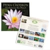 image Pema Chodron 2025 Wall Calendar First Alternate