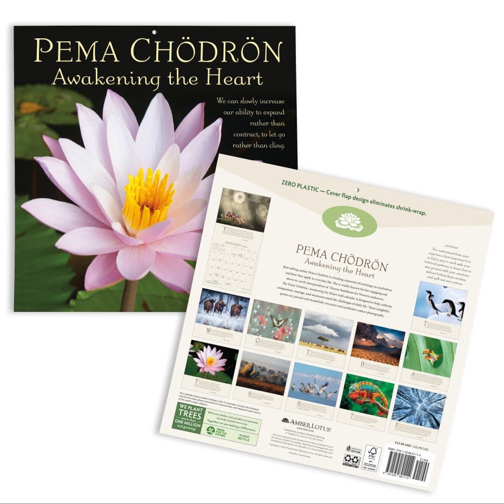 Pema Chodron 2025 Wall Calendar First Alternate