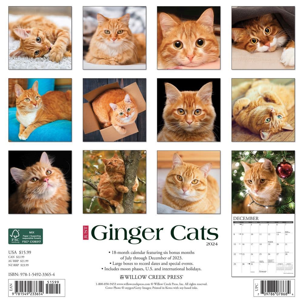 Ginger Cats 2024 Wall Calendar