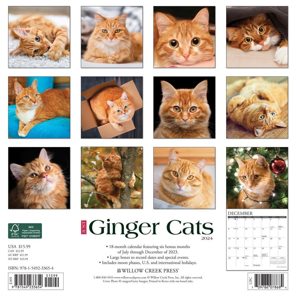 Ginger Cats 2025 Wall Calendar