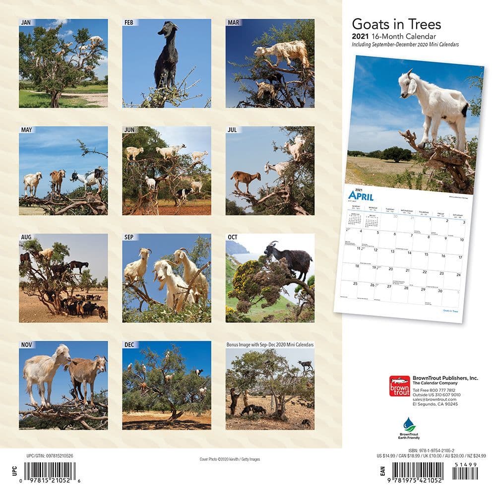 Goats in Trees Wall Calendar