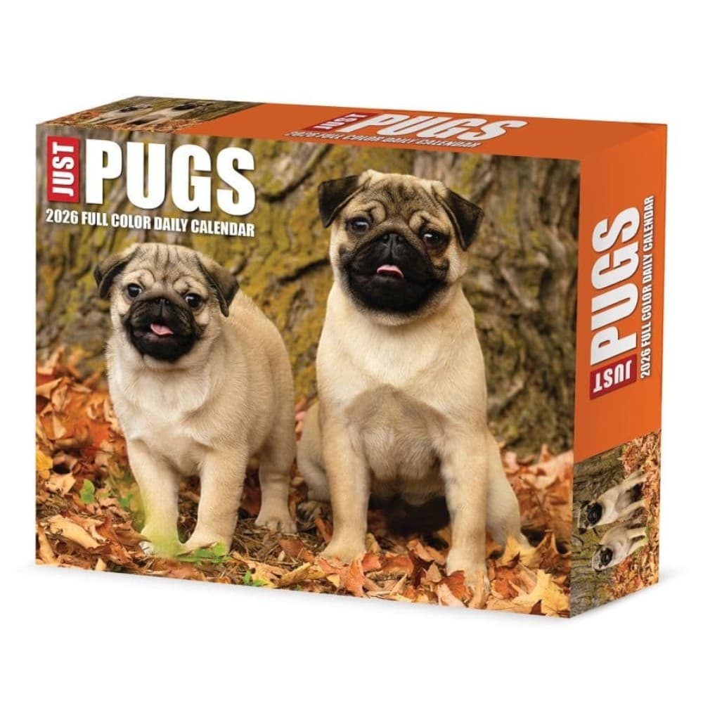 image Just Pugs 2026 Desk Calendar Main Product Image