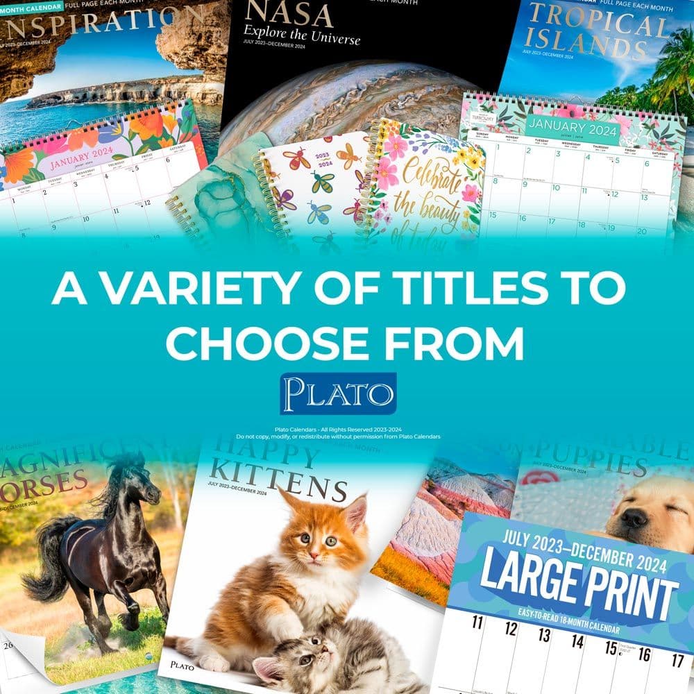 Avanti Cranky Kitties 2024 Wall Calendar - Calendars.com