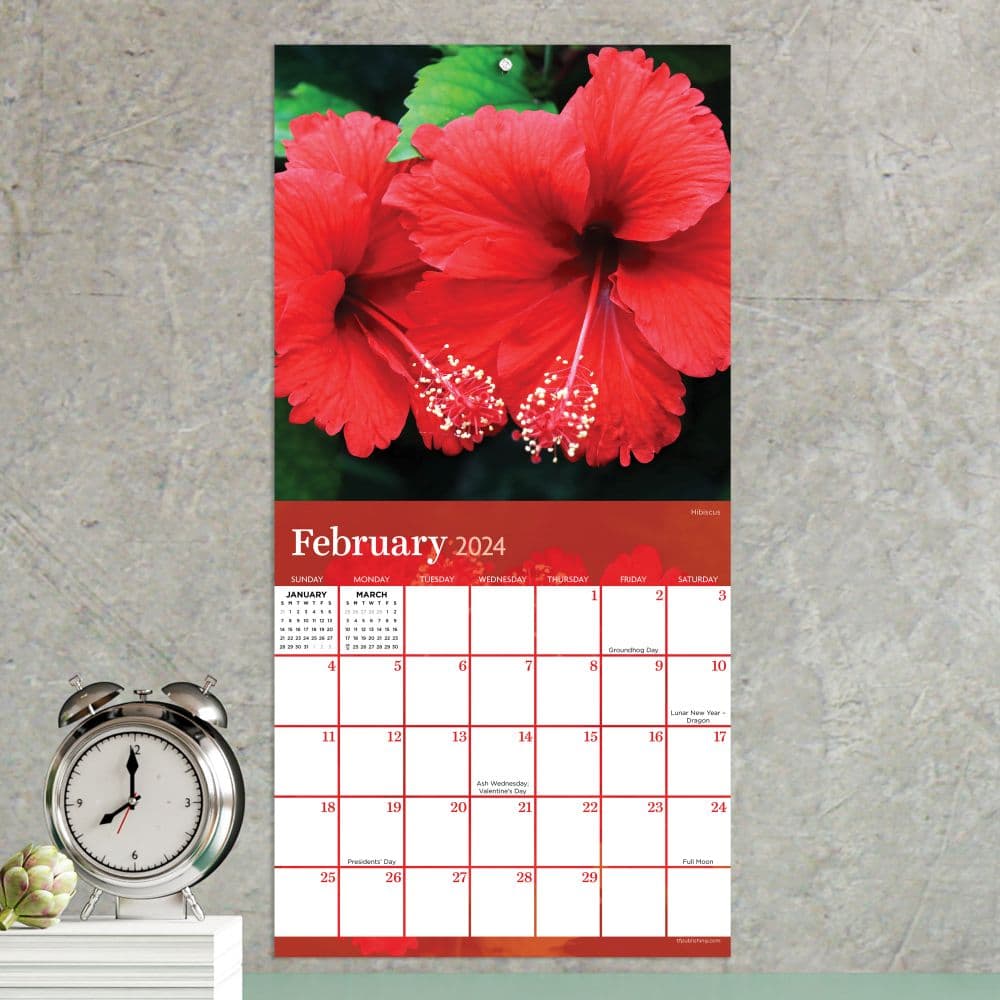Flowers 2024 Mini Wall Calendar Third Alternate Image width="1000" height="1000"