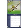 image Audubon Garden Birds 2026 Wall Calendar Second Alternate Image