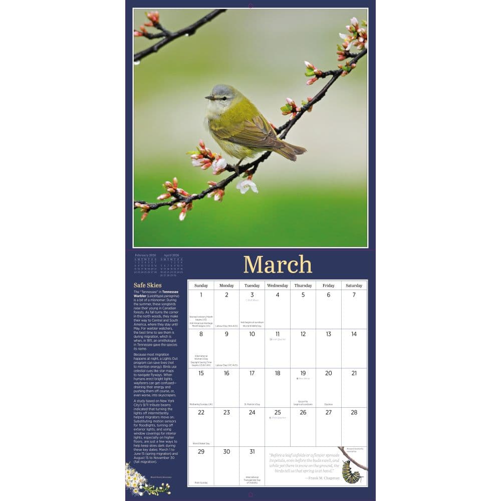 Audubon Garden Birds 2026 Wall Calendar Second Alternate Image