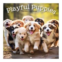 image Playful Puppies Photo 2026 Mini Wall Calendar_Main Image