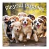 image Playful Puppies Photo 2026 Mini Wall Calendar_Main Image