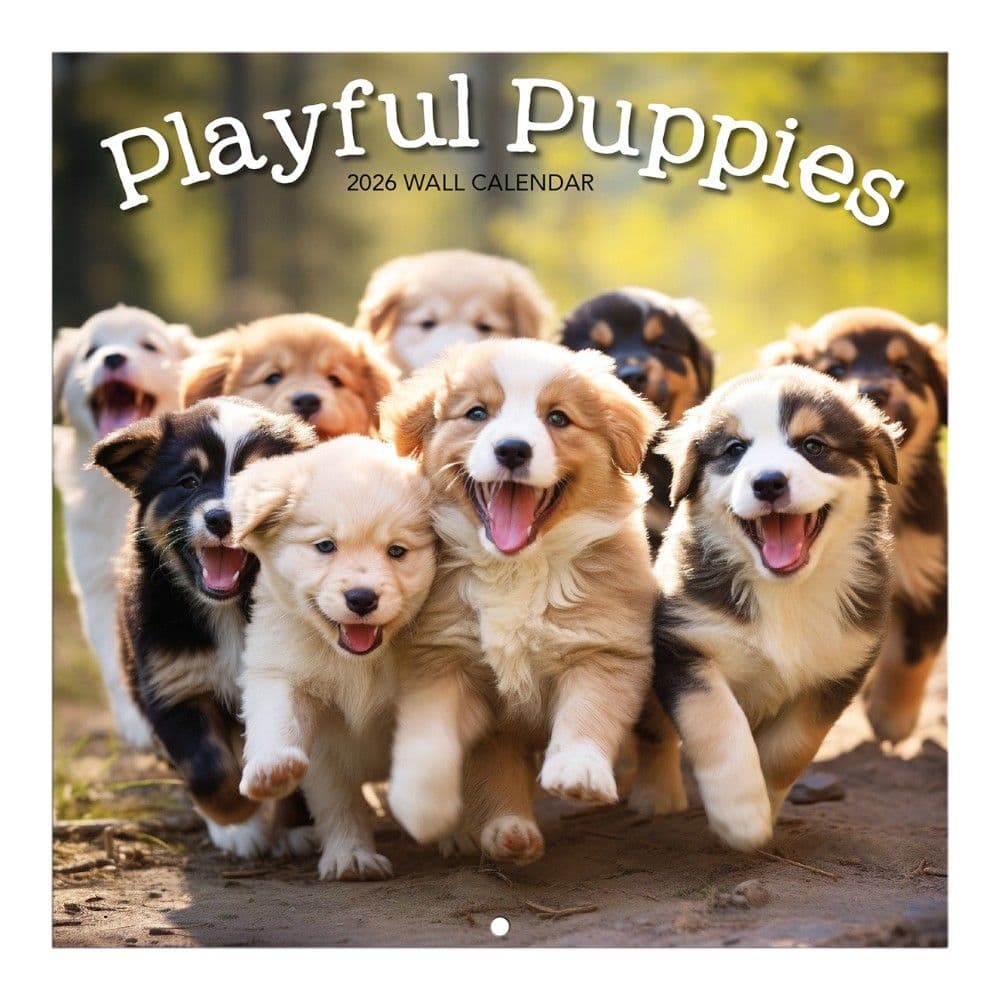 Playful Puppies Photo 2026 Mini Wall Calendar_Main Image