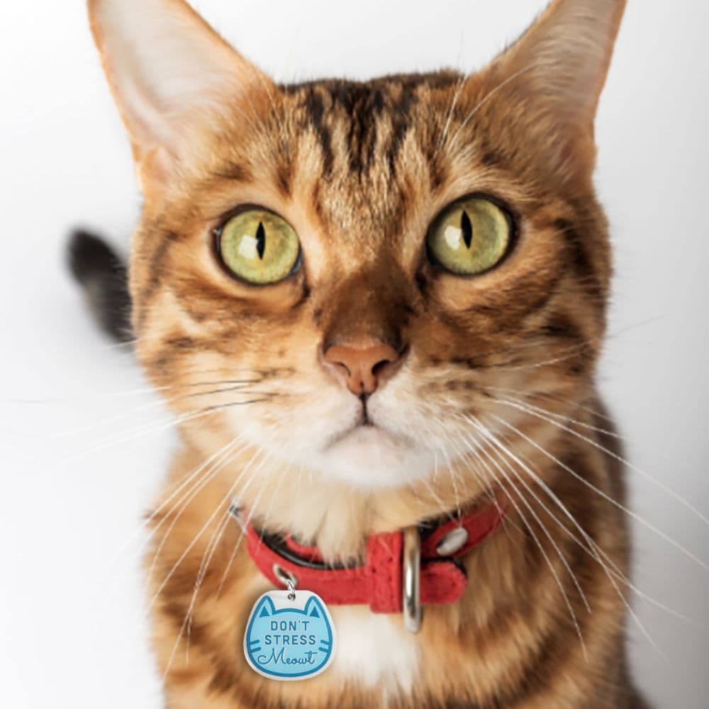 Dont Stress Meowt Cat Collar Charm