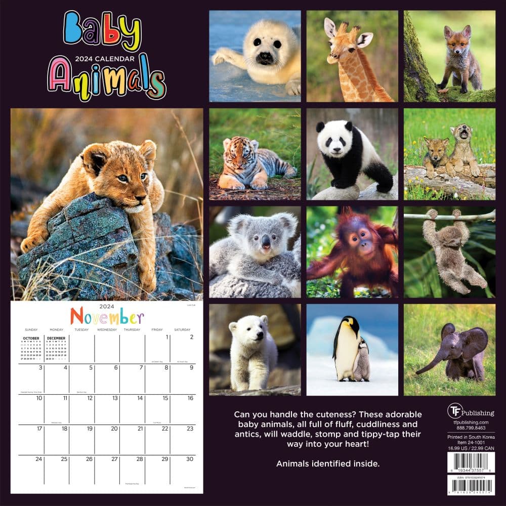 Baby Animals - Wildlife 2024 Wall Calendar First Alternate Image width=&quot;1000&quot; height=&quot;1000&quot;