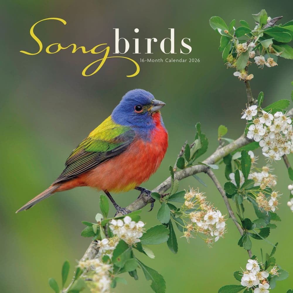 Songbirds Special Value 2026 Wall Calendar  Main Image