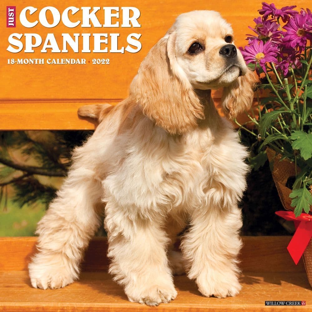 Cocker Spaniels 2022 Wall Calendar
