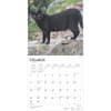 image Black Cats 2025 Wall Calendar Second Alternate Image