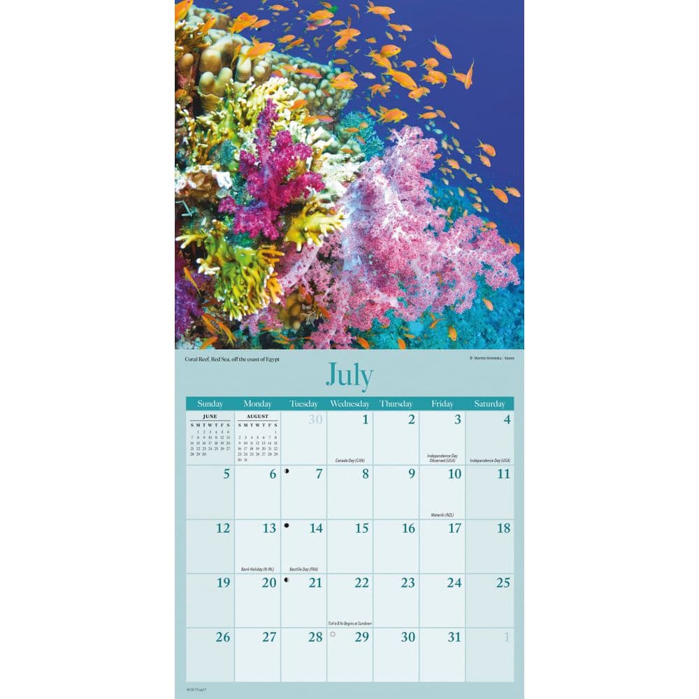 Amazing Planet Special Value 2026 Wall Calendar Fourth Alternate Image
