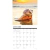 image Seashells 2025 Wall Calendar