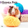 image Guinea Pigs 2024 Wall Calendar Main Product Image width=&quot;1000&quot; height=&quot;1000&quot;