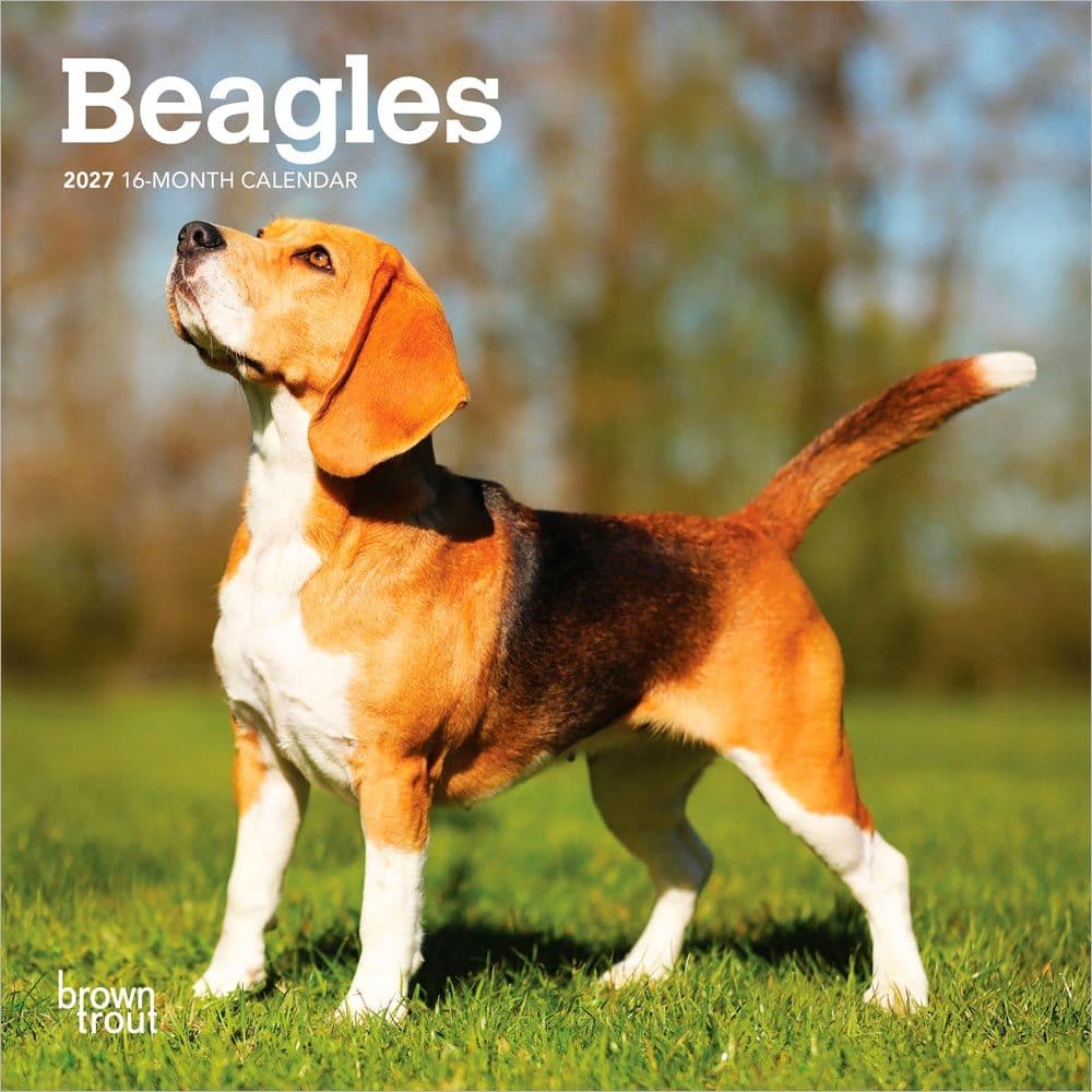 Beagle 2027 Mini Wall Calendar Main Product Image