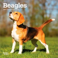 image Beagle 2027 Mini Wall Calendar Main Product Image