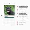 image American Staffordshire Bull Terriers 2025 Wall Calendar Fourth Alternate Image width="1000" height="1000"