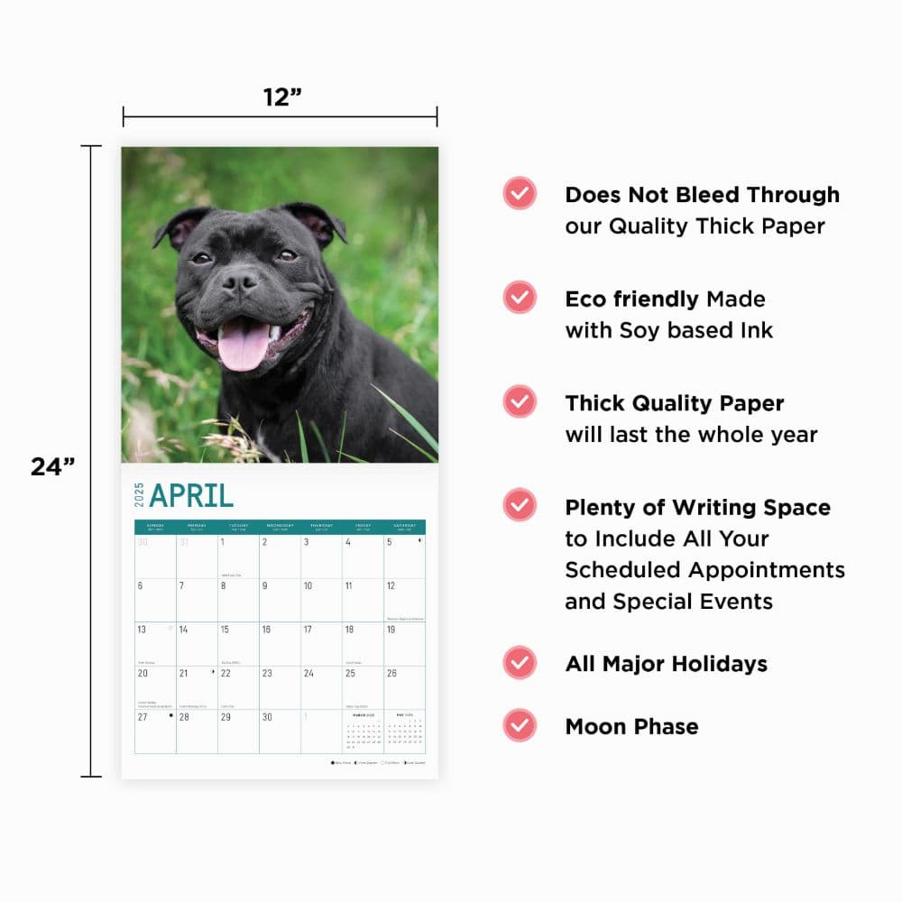 American Staffordshire Bull Terriers 2025 Wall Calendar Fourth Alternate Image width="1000" height="1000"