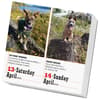 image Dogs 365 2024 Desk Calendar Second Alternate Image  width=&quot;1000&quot; height=&quot;1000&quot;