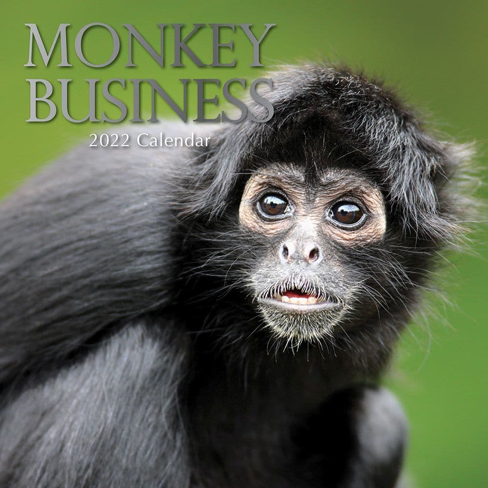 Monkey Business 2022 Wall Calendar