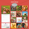 image Teddy Bears 2025 Wall Calendar First Alternate Image width=&quot;1000&quot; height=&quot;1000&quot;
