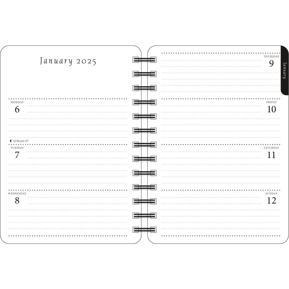 Artful Cat Weekly 2025 Planner