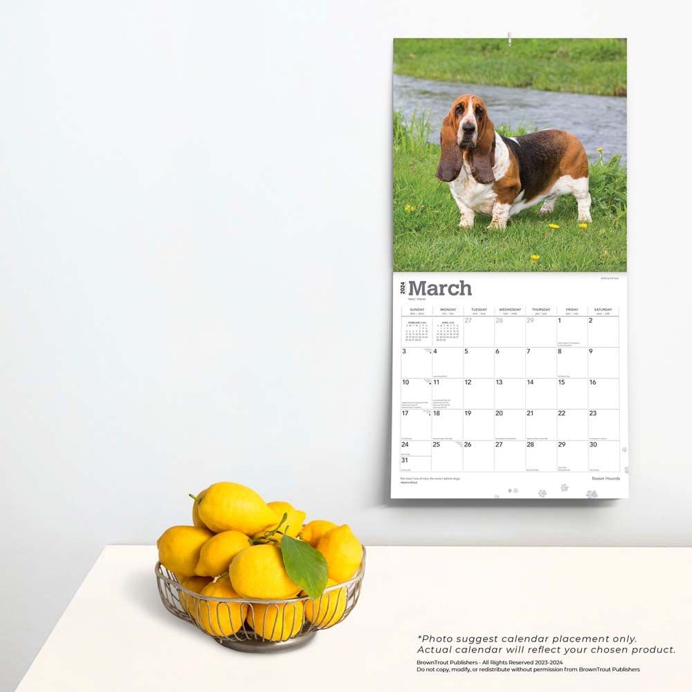 Basset Hounds 2024 Wall Calendar